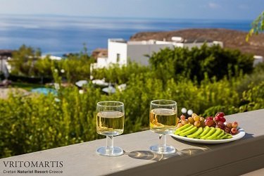020_VRITOMARTIS_type1+